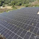 솔라팜태양광발전소 이미지