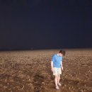 꿈길속에펜션 이미지