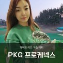에스제이지씨 | 쉬운롱아이언 2번 유틸리티 추천 PKG 프로케넥스 사용후기