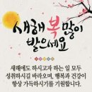 붉은 원숭이의 해 2016년 병신년 이미지