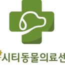 동탄시티동물의료센터 이미지