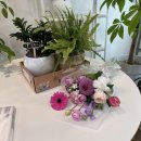 덕신농장 | 온양읍 대우아파트 꽃배송 |남창.덕신 꽃집 후기 | 온양읍 남창 덕신 꽃집 추천|남창꽃집에서 준비한 식물