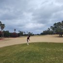 샤인빌 | 제주 샤인빌CC 라운딩 후기, 제주 골프장 추천 + 그늘집