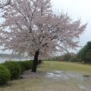 조정경기장 화장실(관람동) 이미지