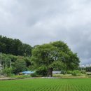 사창7리 네이버블로그