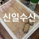 신일수산 이미지