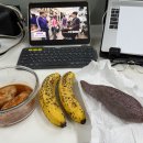 바나나PC | 바나나가 제일 맛있었다…퍽퍽한 점심 후기
