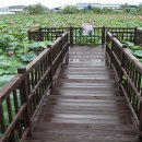 연꽃향기천연염색 이미지