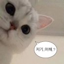 전주 우렁본가 | 2026년 4번째 일기 (っ*'-'*)ﾉ =͟͟͞͞💖🌟