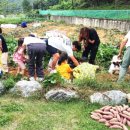 북암농촌체험관 이미지