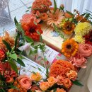 보나르떼 (BON ARTE) 디자인