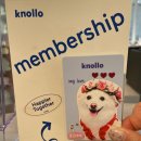 놀로동물행동클리닉 이미지