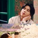 아미스테이 이미지