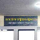 대정읍 서부 복지관 주차장 | 대정오일장 구경하고 대정 옥돔식당에서 보말전복손칼국수 한 그릇! 제주 서부 여행 필수 코스 추천