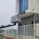 콩자반 애견유치원 이미지