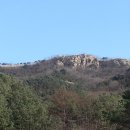 수원-0331 이미지