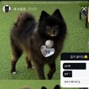 샵가스펠