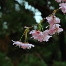 기억의 순간 이미지