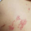 진접아산내과의원 이미지