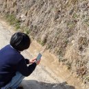 국사봉 민박 이미지