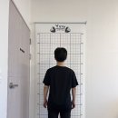 와이짐 구지점 이미지