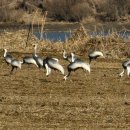 제환농장 이미지