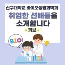 주식회사 카브 네이버블로그