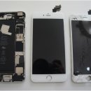 이리옴프라자 이미지