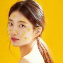 원진수지 이미지