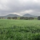 성진목장 이미지