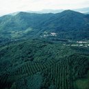 태양마을영농조합법인 이미지