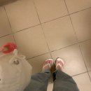 포댕포댕 이미지