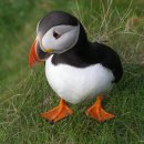 1박2일 모텔 이미지