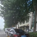 송산카정비 네이버블로그