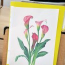 꽃그림 색연필화 이미지