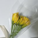 내삼어린이공원 | 4월 일상 기록 모음집 (1)