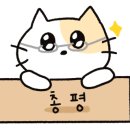익산 고양이카페 아이캣유 이미지