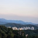 서울준재활의학과의원 Daum카페
