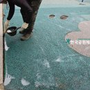 원골어린이공원 이미지