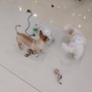 여의도유치원 이미지