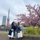 복사꽃공원 이미지