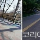 공원카부분정비 이미지