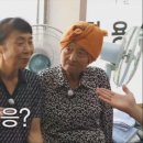 둘리마트 이미지