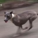 춘봉농장 이미지