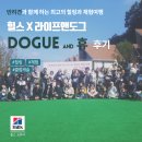힐스 X 라이프앤도그 도그앤휴 후기