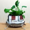 로즈마리세탁소 이미지