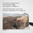평화여행자