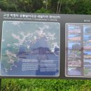 쌍발횟집
