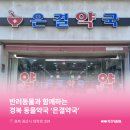 은결약국 이미지