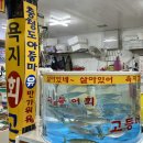 중앙꽃수족관 이미지